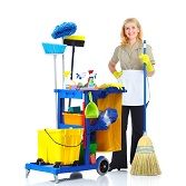 home cleaner n1